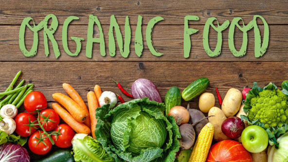 Best Organic Food