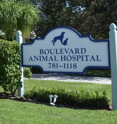 Boulevard Animal Hospital