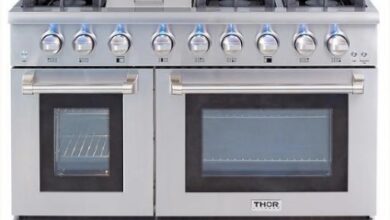 Stainless Steel Professional Gas Range: A Comprehensive Overview