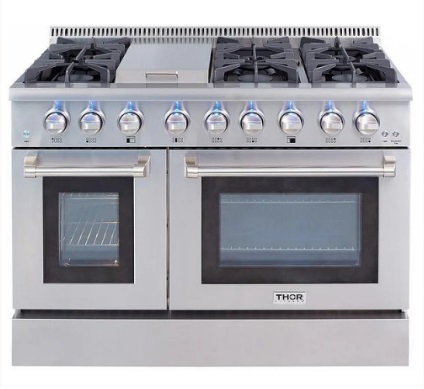 Stainless Steel Professional Gas Range: A Comprehensive Overview